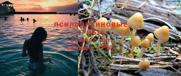 прущая мука Аркадак