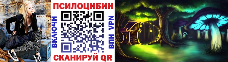 купить наркотики цена  блэк спрут ссылки  Галлюциногенные грибы Magic Shrooms  Новоржев 